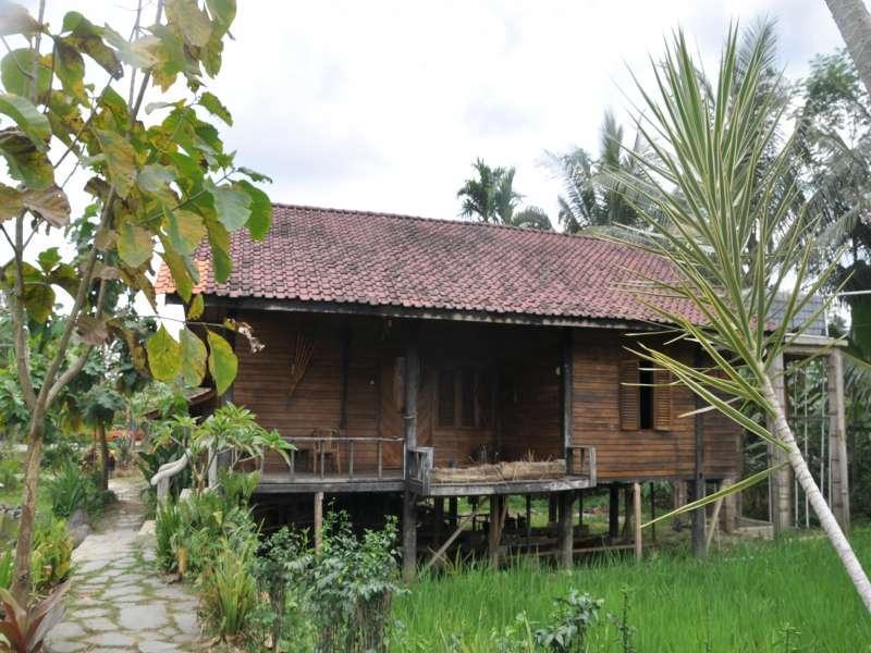 The Pikas Resort 沃诺索博 外观 照片